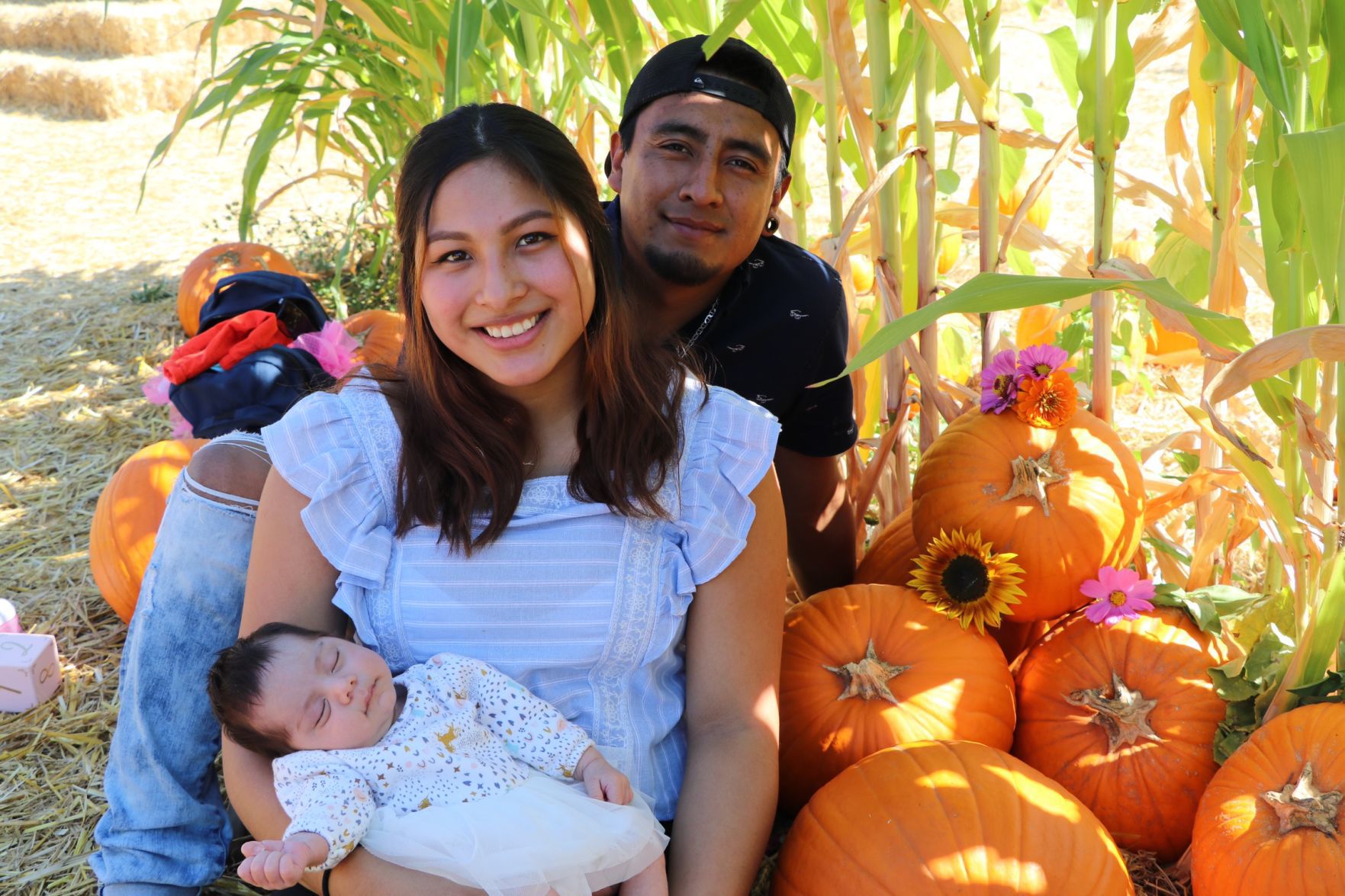 Picking Pumpkins 2019